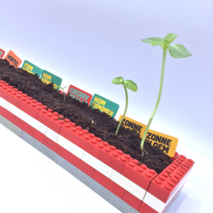 AH moestuintjes LEGO kweekbak Veel Bouwplezier